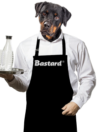 zástěra