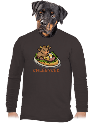 pánské dlouhý rukáv