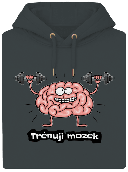 Trénuji mozek unisex mikina premium Charcoal