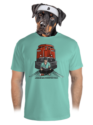 Studentská kolej pánské sportovní tričko Mint Mal