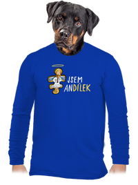 pánské dlouhý rukáv