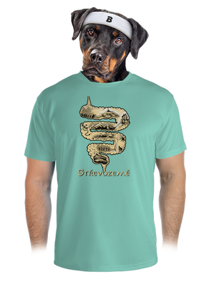 pánské sportovní tričko