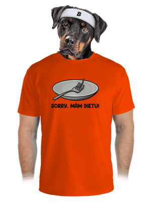pánské sportovní tričko