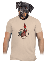 pánské tričko