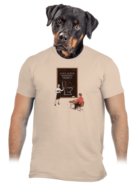 Lekce pro pány pánské tričko Sand