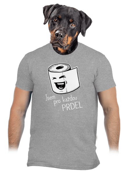 Prdel pánské tričko Sport Grey