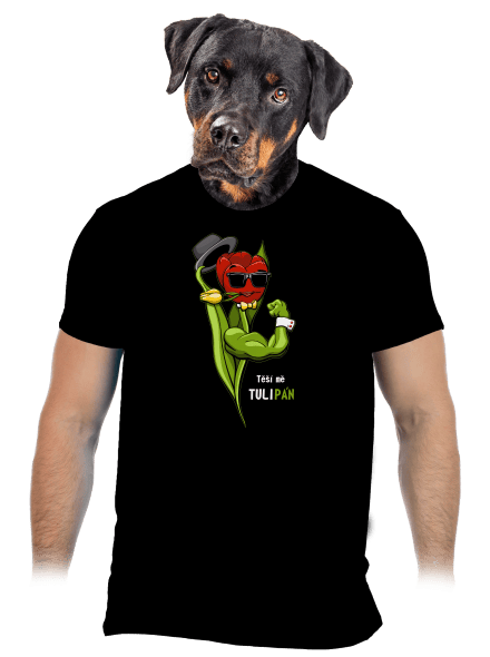 Sněženka a Tulipán pánské tričko Black