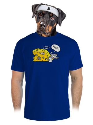 pánské sportovní tričko