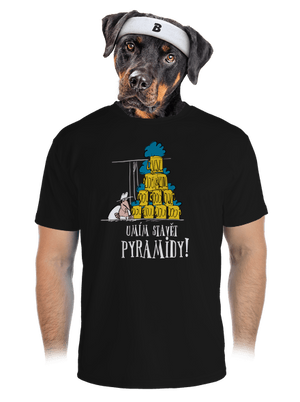 pánské sportovní tričko