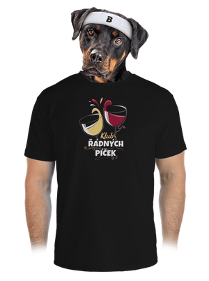 pánské sportovní tričko
