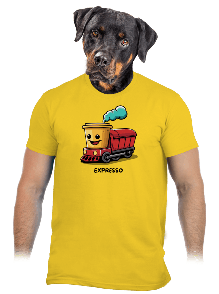 Expresso pánské tričko Gold