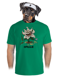 pánské sportovní tričko