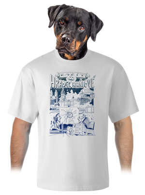 unisex tričko oversized