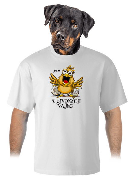 Z divokých vajec unisex tričko oversized White