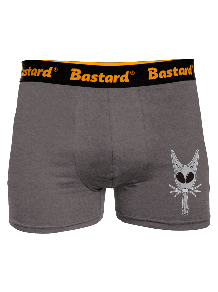 Mimozemská kočka boxerky Gray Melange