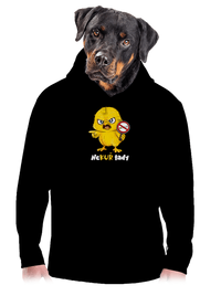 pánská mikina klokanka