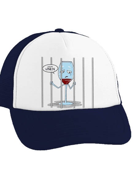 Jsem vinen kšiltovka truckerka French Navy cap