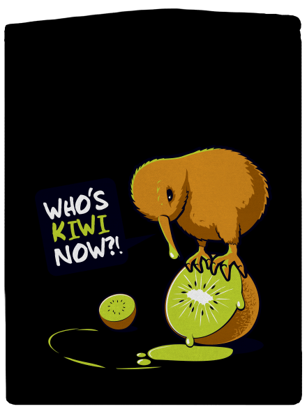 Kiwi pánská mikina na zip Black