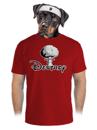 pánské sportovní tričko