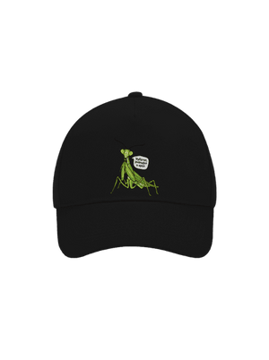 kšiltovka baseballka