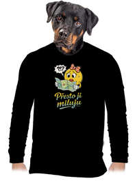 pánské dlouhý rukáv