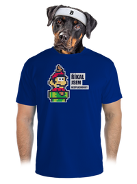 pánské sportovní tričko