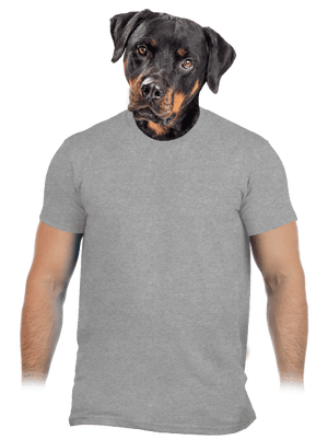 Bez potisku pánské tričko Sport Grey