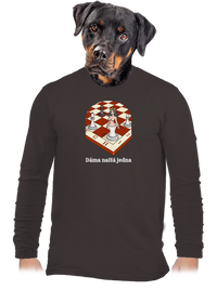 pánské dlouhý rukáv