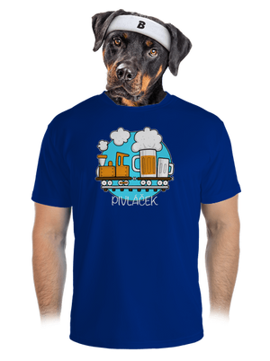 pánské sportovní tričko