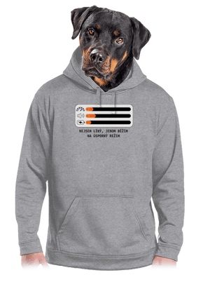 pánská mikina klokanka