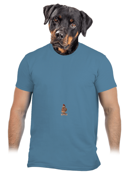 Slepizza pánské tričko Stone Blue