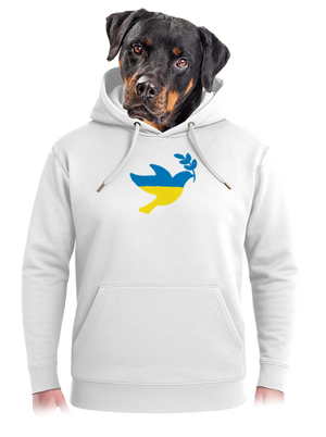 unisex mikina premium