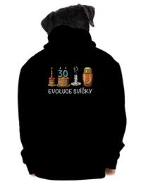 pánská mikina na zip