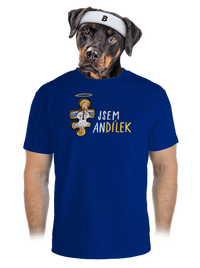 pánské sportovní tričko