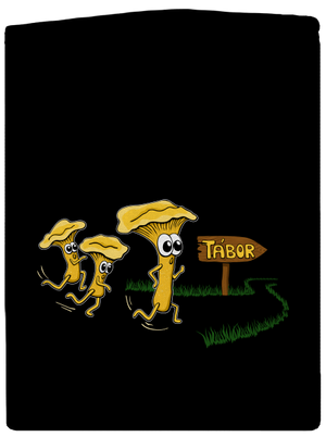 Běží lišky k Táboru pánská mikina na zip Black