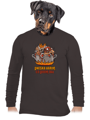 Co Doom dal pánské dlouhý rukáv Bear Brown