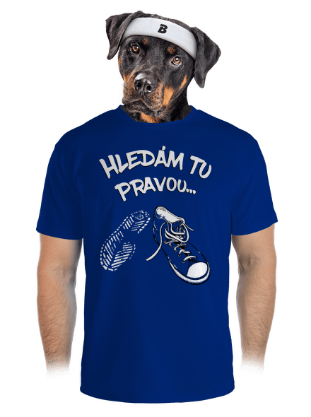 Hledám tu pravou pánské sportovní tričko Royal Blue Mal