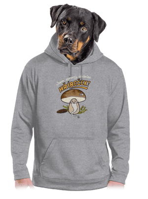 Babka a hříbeček pánská mikina klokanka Light Melange