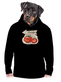 pánská mikina klokanka