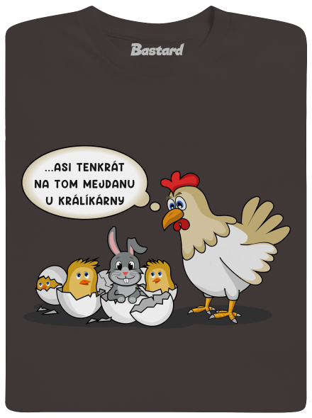 Mejdan u králíkárny pánské dlouhý rukáv Bear Brown