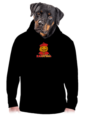 pánská mikina klokanka