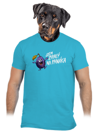pánské tričko