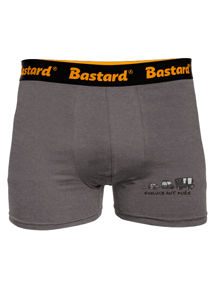 Evoluce aut muže boxerky Gray Melange