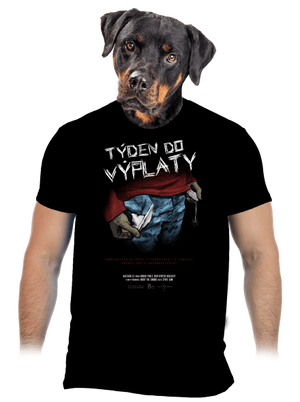 pánské tričko