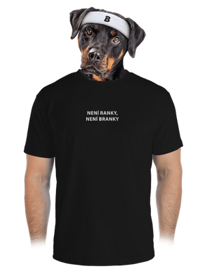 pánské sportovní tričko