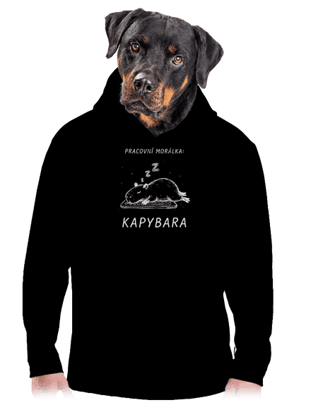 Pracovní morálka pánská mikina klokanka Black