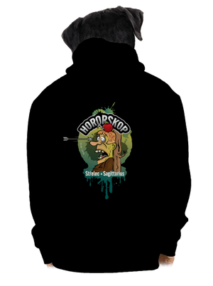 pánská mikina na zip