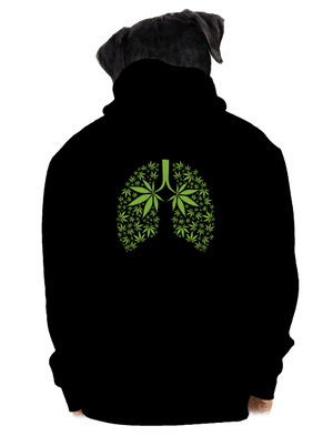 pánská mikina na zip
