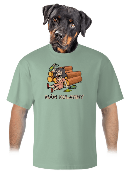 Mám kulatiny unisex tričko oversized Sage