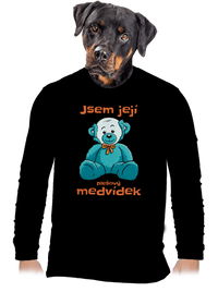 pánské dlouhý rukáv